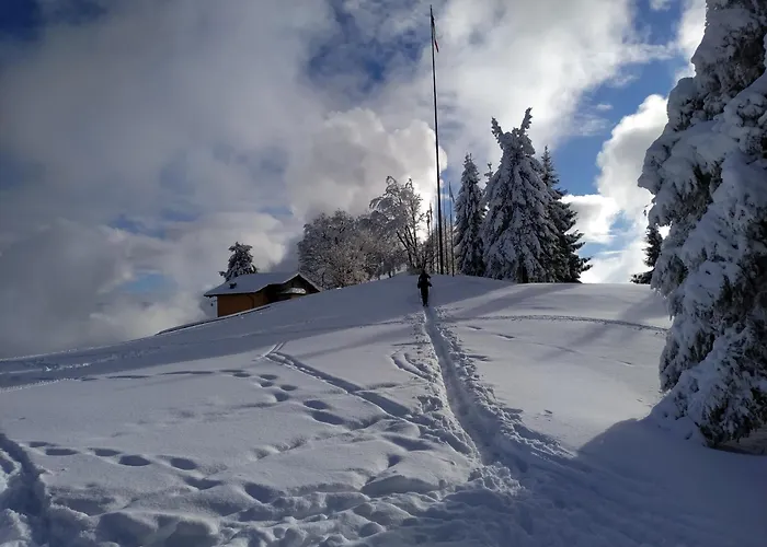 Albergo RelaxAlbergo